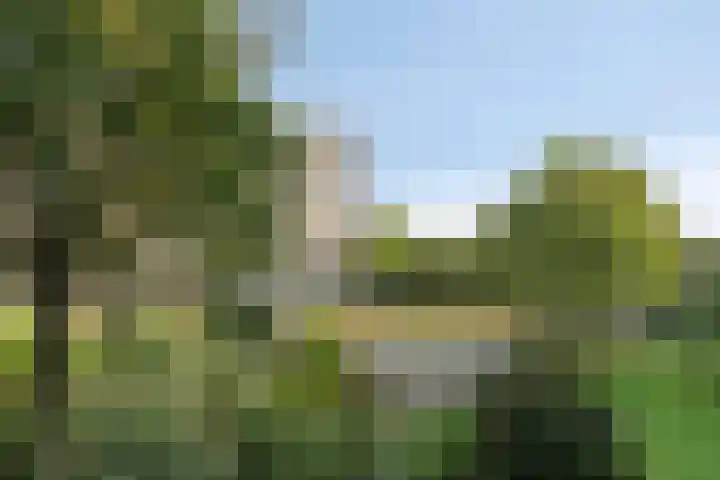 van Wassenaersheuvel 101 Oosterbeek thumbnail 9