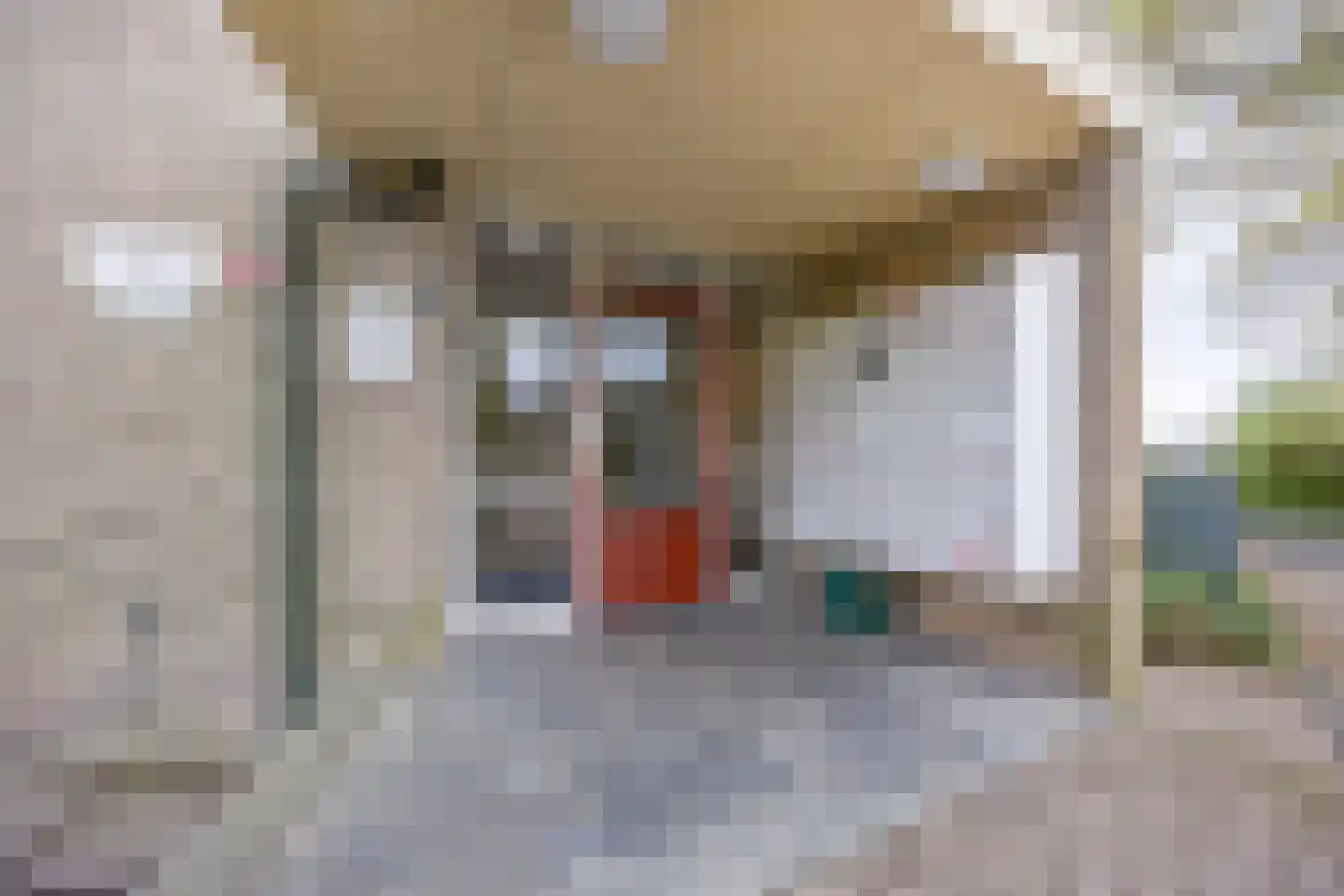 van Wassenaersheuvel 113 Oosterbeek thumbnail 19