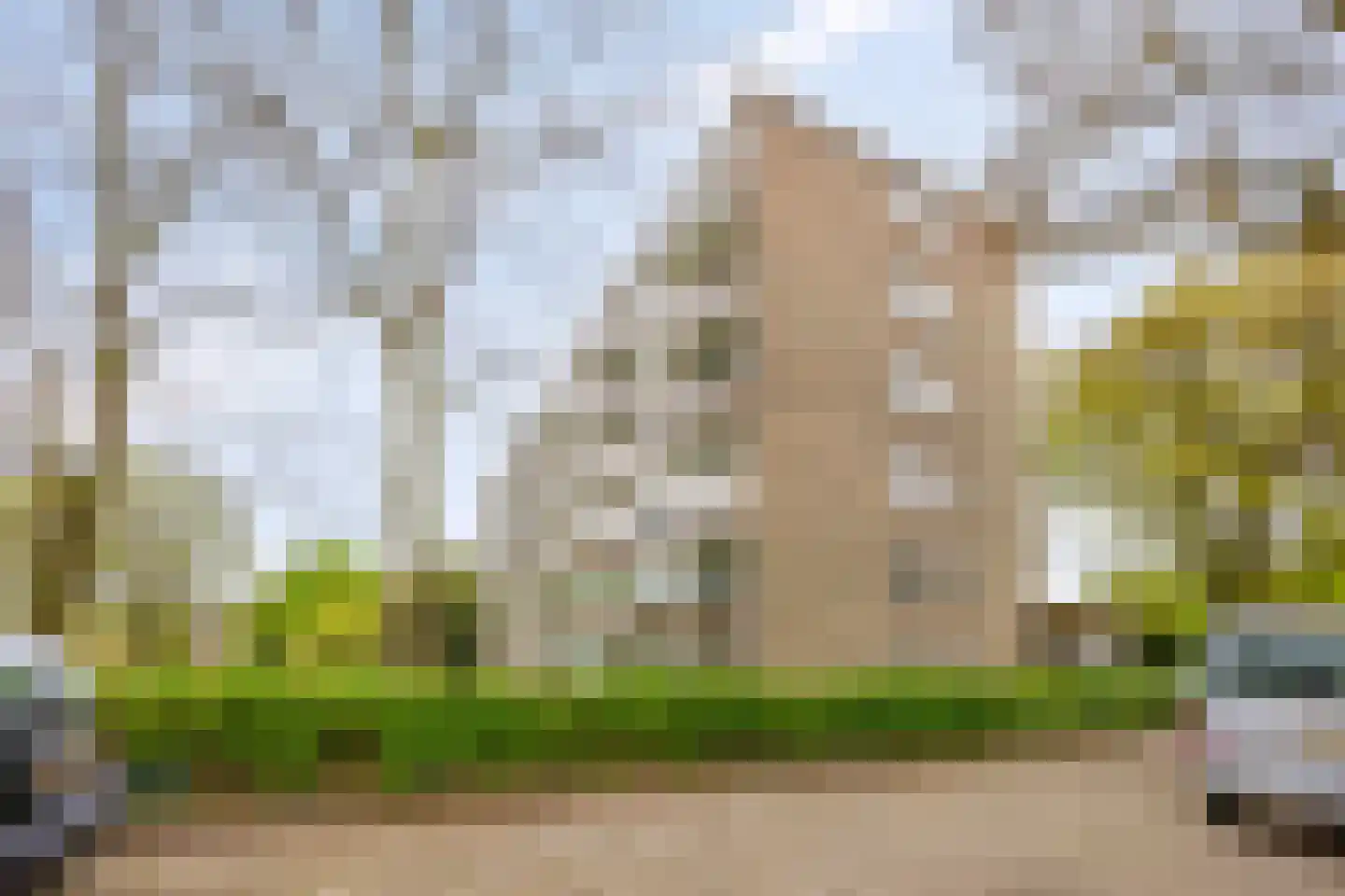 van Wassenaersheuvel 113 Oosterbeek thumbnail 21