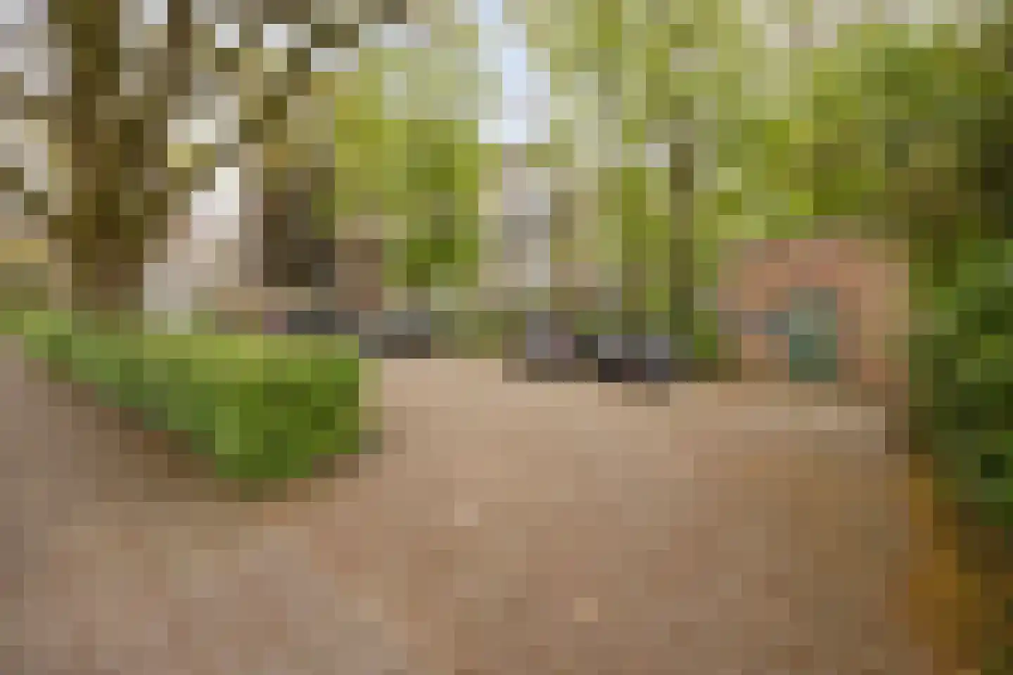 van Wassenaersheuvel 113 Oosterbeek thumbnail 22