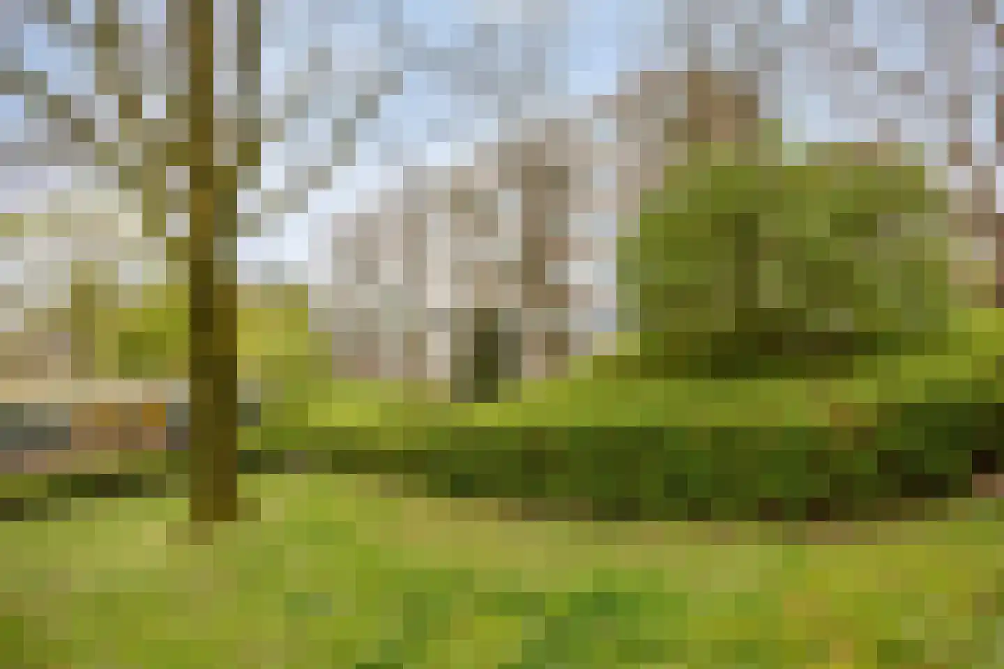 van Wassenaersheuvel 113 Oosterbeek thumbnail 24