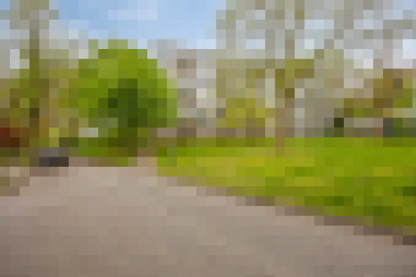 van Wassenaersheuvel 113 Oosterbeek thumbnail 25