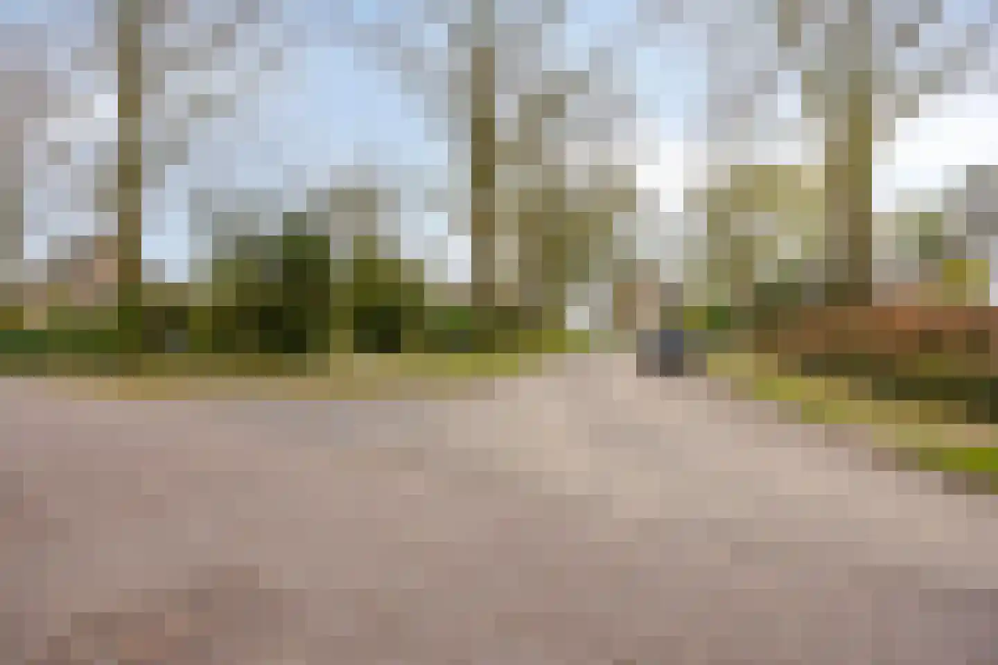 van Wassenaersheuvel 113 Oosterbeek thumbnail 26