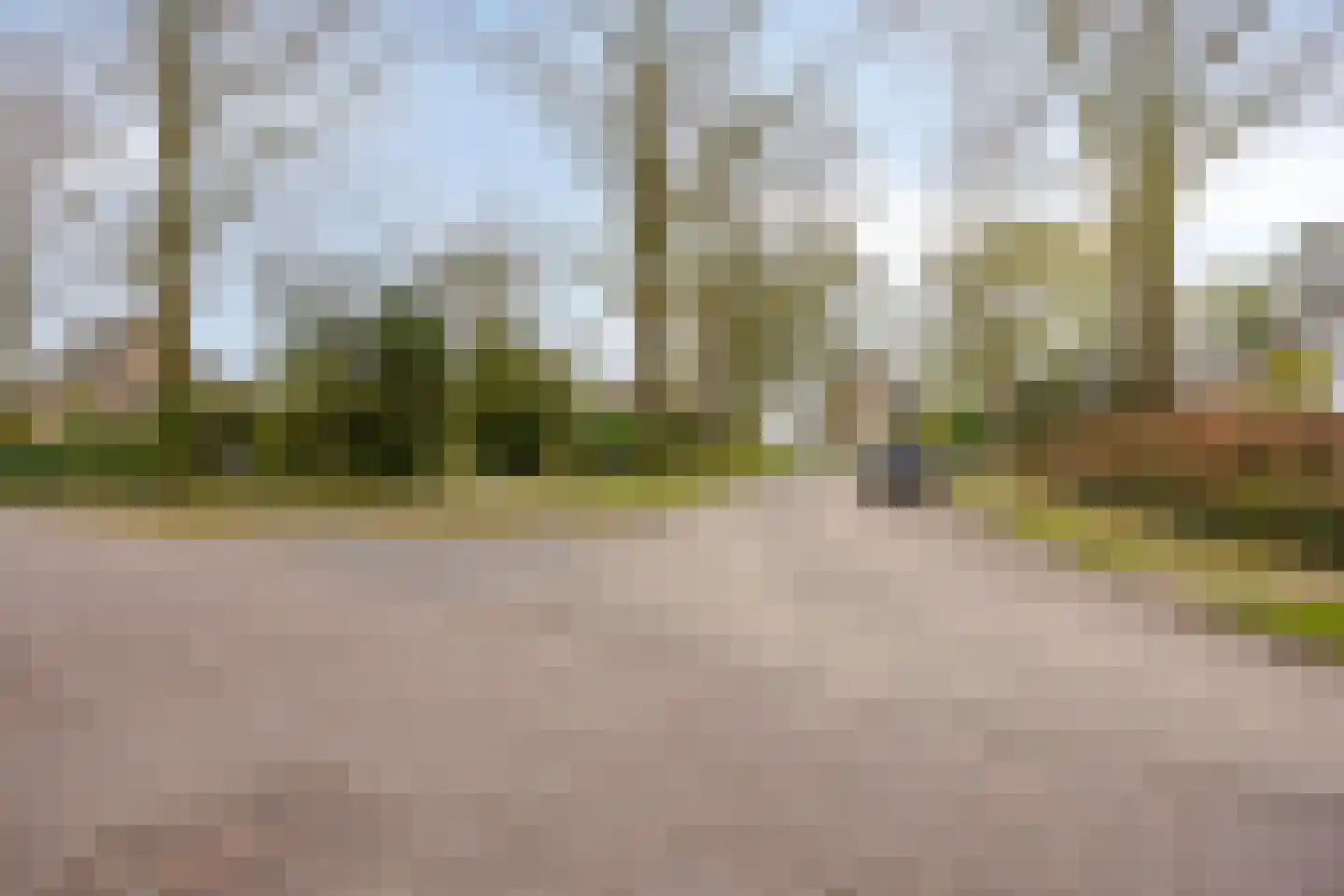 van Wassenaersheuvel 113 Oosterbeek thumbnail 26