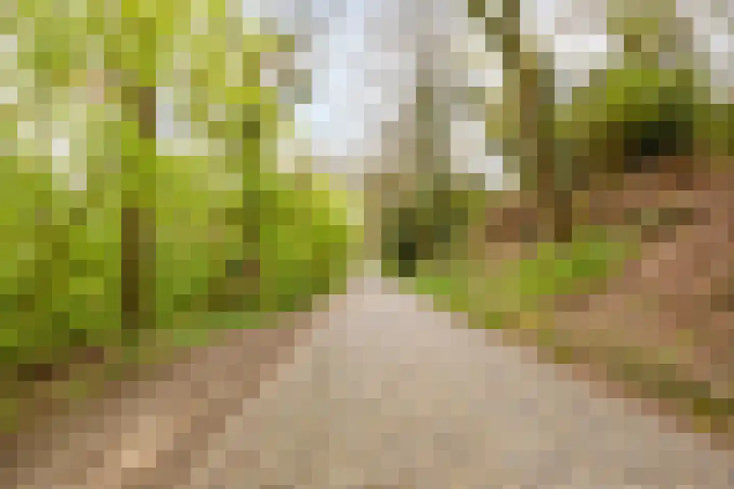van Wassenaersheuvel 113 Oosterbeek thumbnail 27