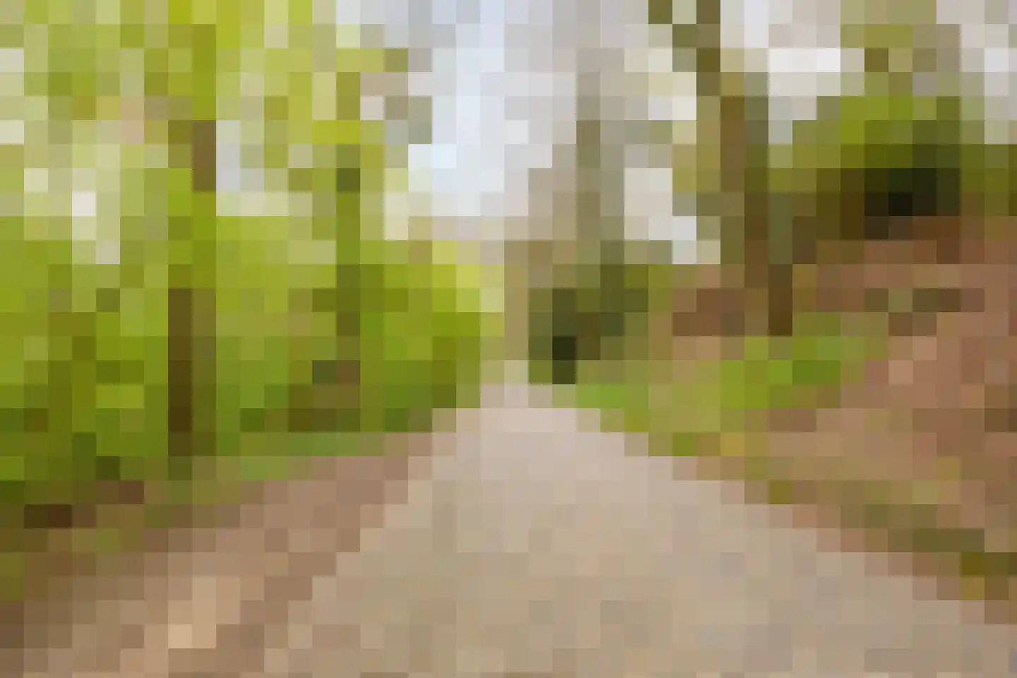 van Wassenaersheuvel 113 Oosterbeek thumbnail 27