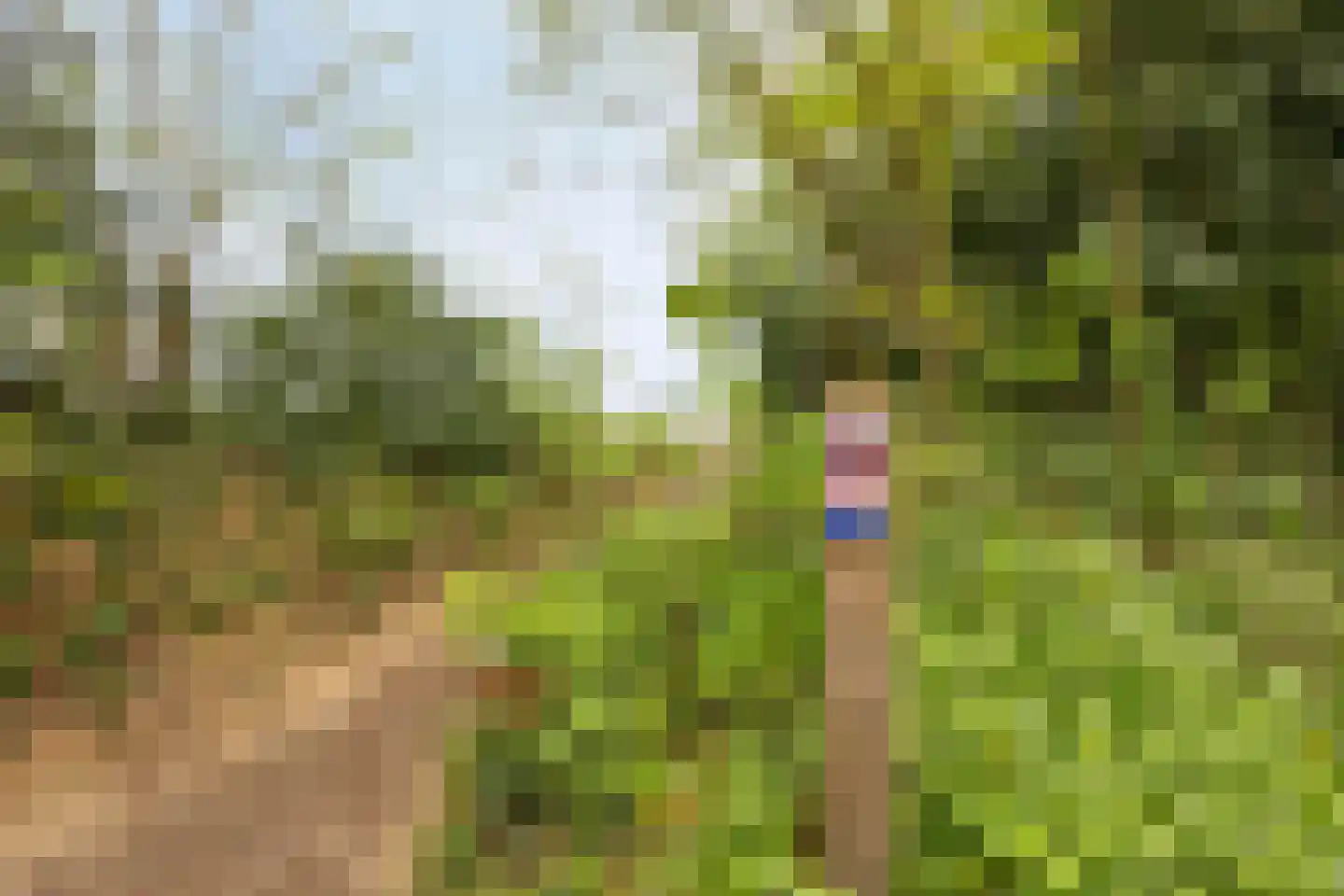 van Wassenaersheuvel 113 Oosterbeek thumbnail 29