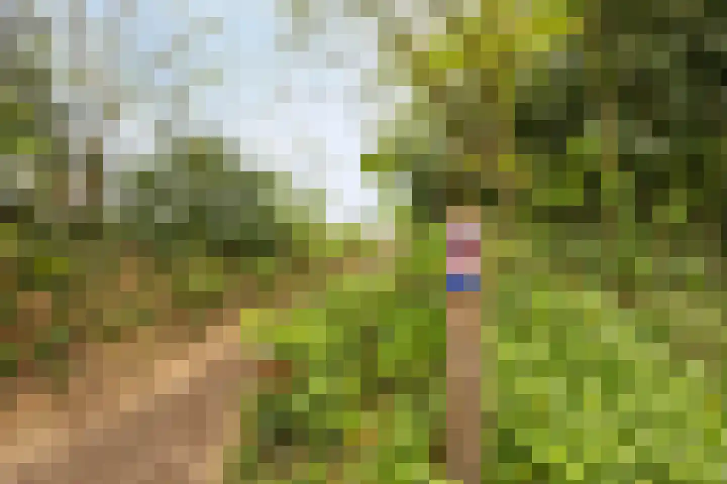 van Wassenaersheuvel 113 Oosterbeek thumbnail 29