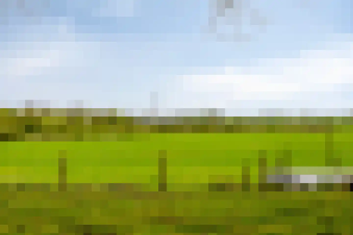 van Wassenaersheuvel 113 Oosterbeek thumbnail 30