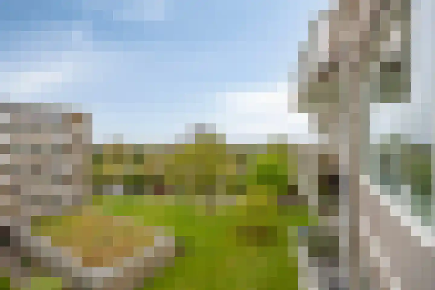 van Wassenaersheuvel 113 Oosterbeek thumbnail 9
