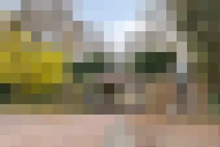 van Wassenaersheuvel 115 Oosterbeek thumbnail 17