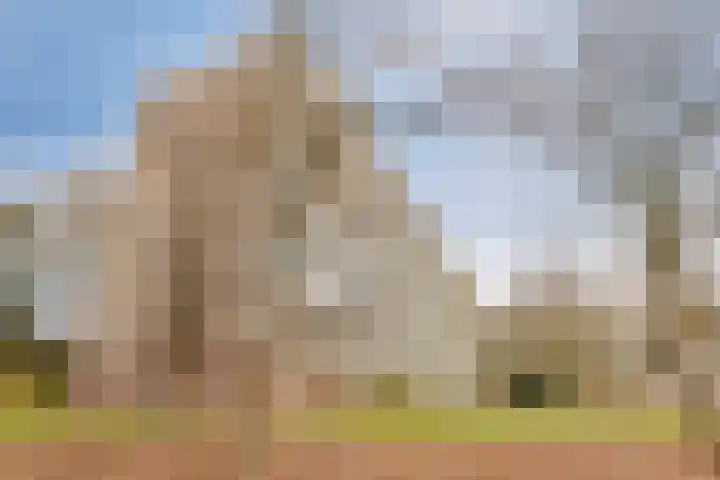 van Wassenaersheuvel 115 Oosterbeek thumbnail 18