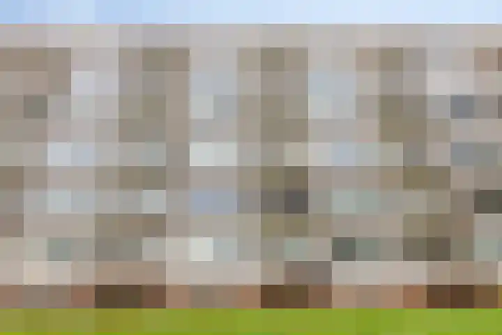 van Wassenaersheuvel 115 Oosterbeek thumbnail 20