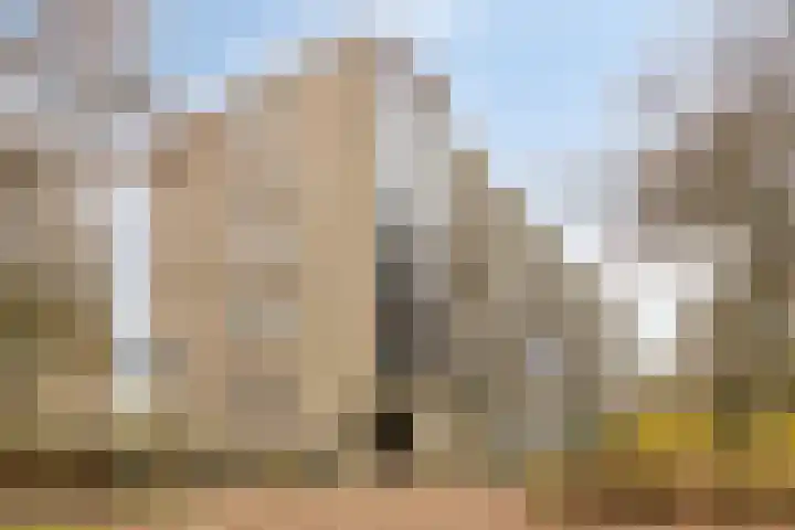 van Wassenaersheuvel 115 Oosterbeek thumbnail 21
