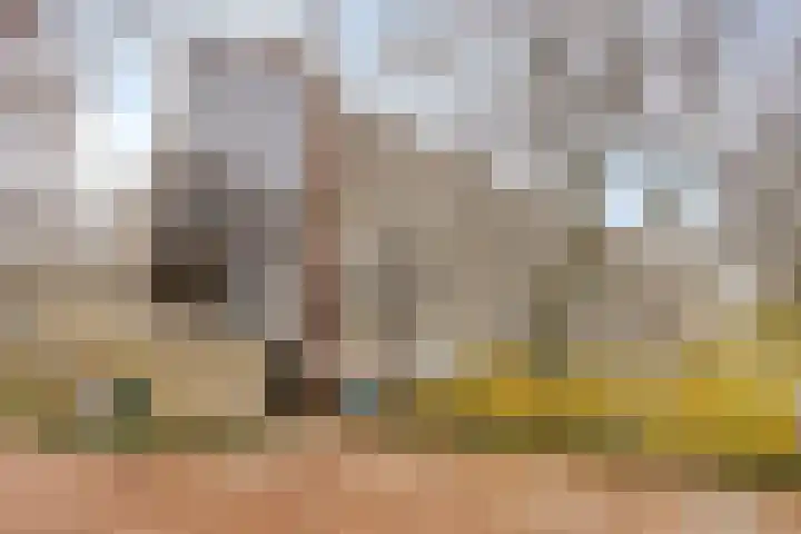 van Wassenaersheuvel 115 Oosterbeek thumbnail 23