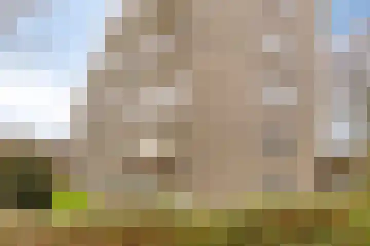 van Wassenaersheuvel 115 Oosterbeek thumbnail 24