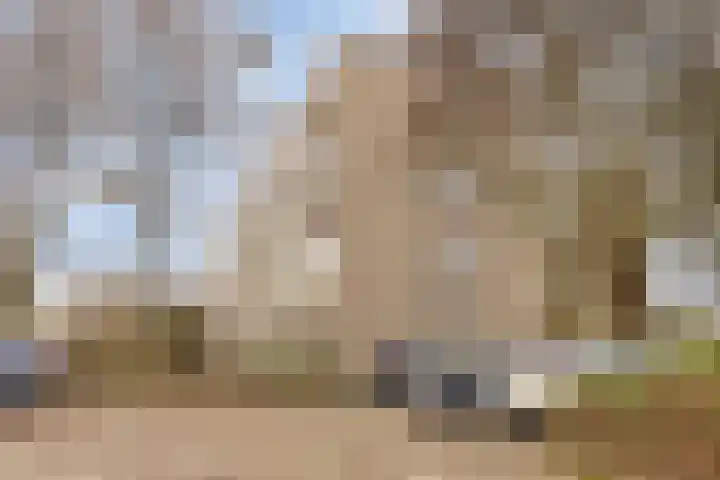 van Wassenaersheuvel 115 Oosterbeek thumbnail 25