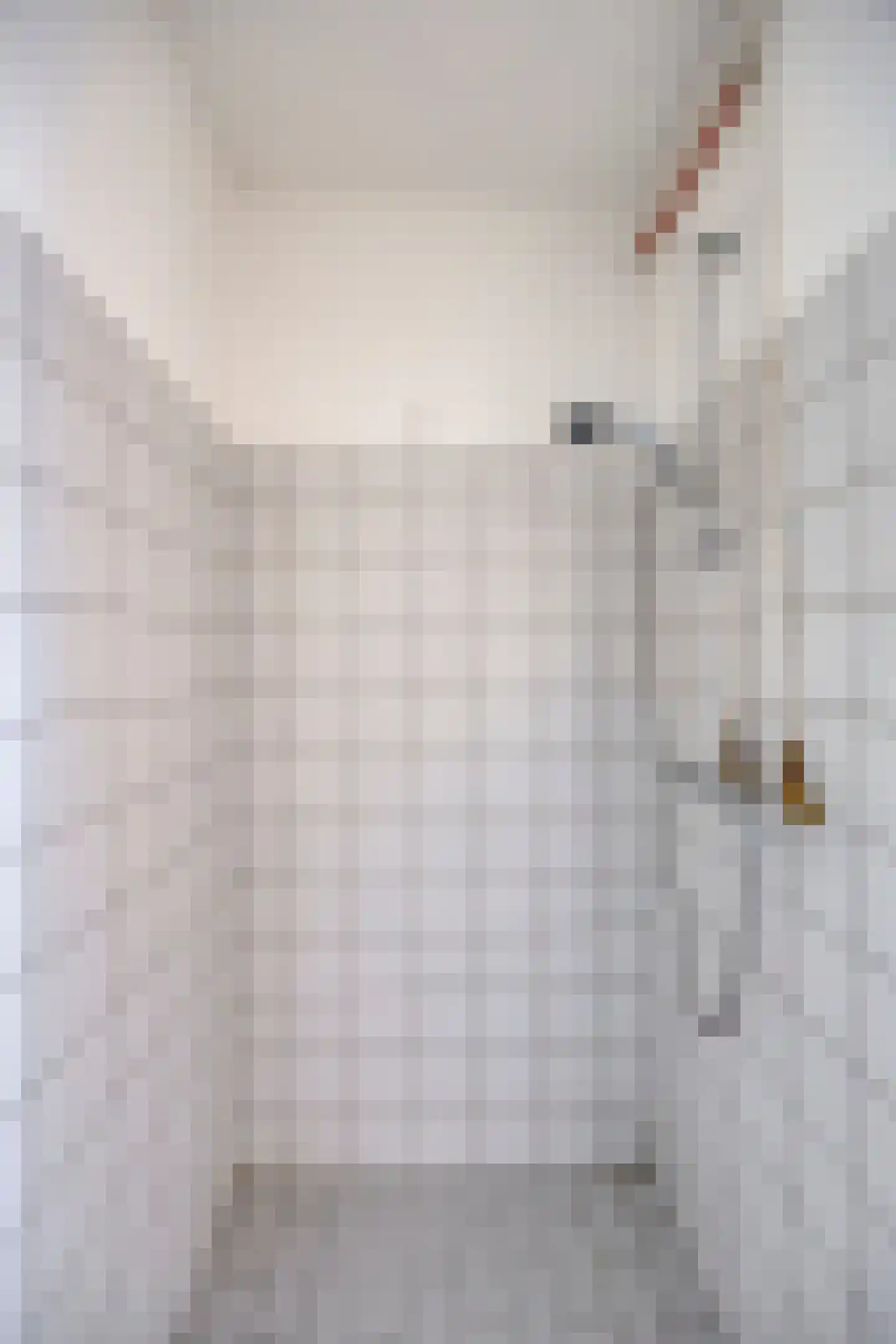 van Wassenaersheuvel 122 Oosterbeek thumbnail 17