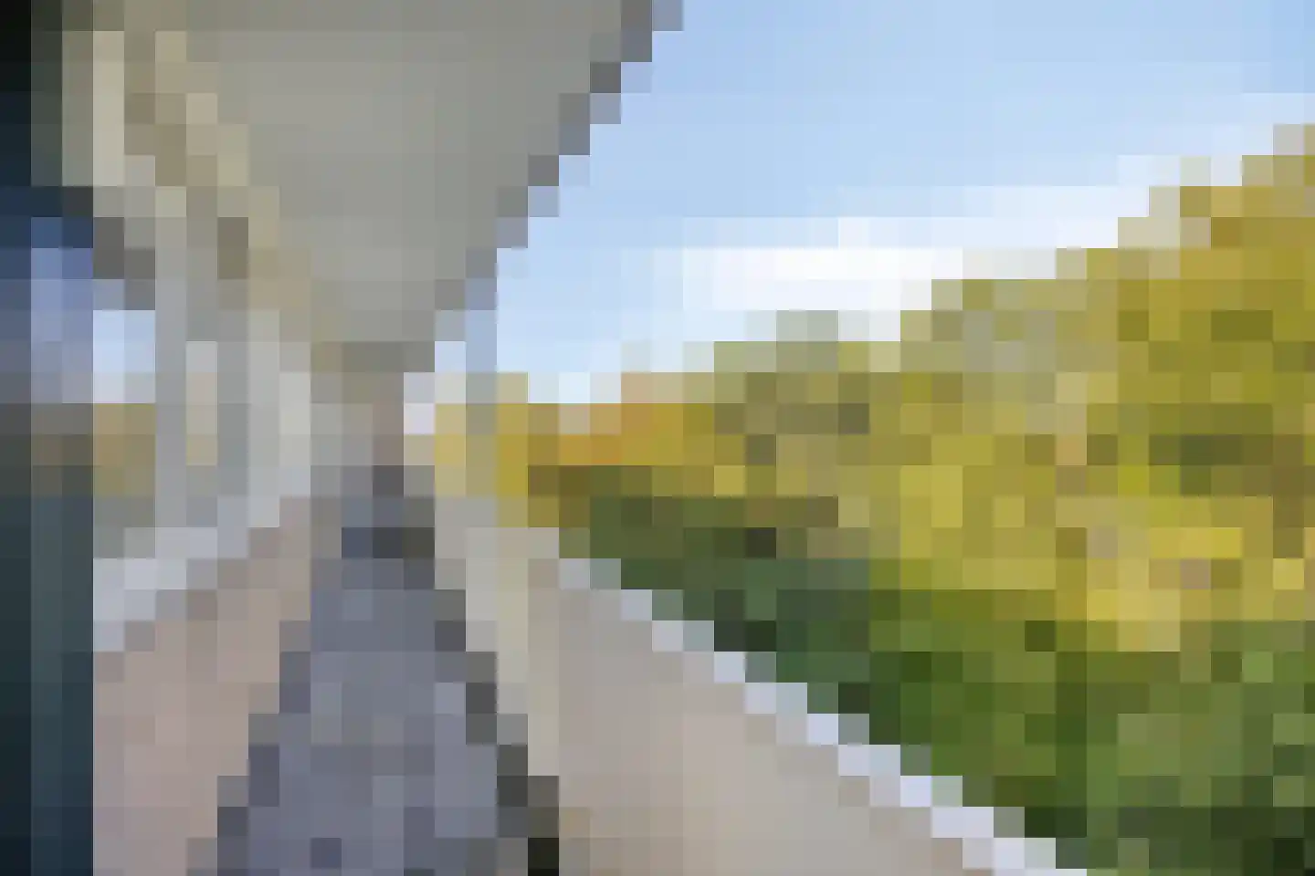 van Wassenaersheuvel 122 Oosterbeek thumbnail 20