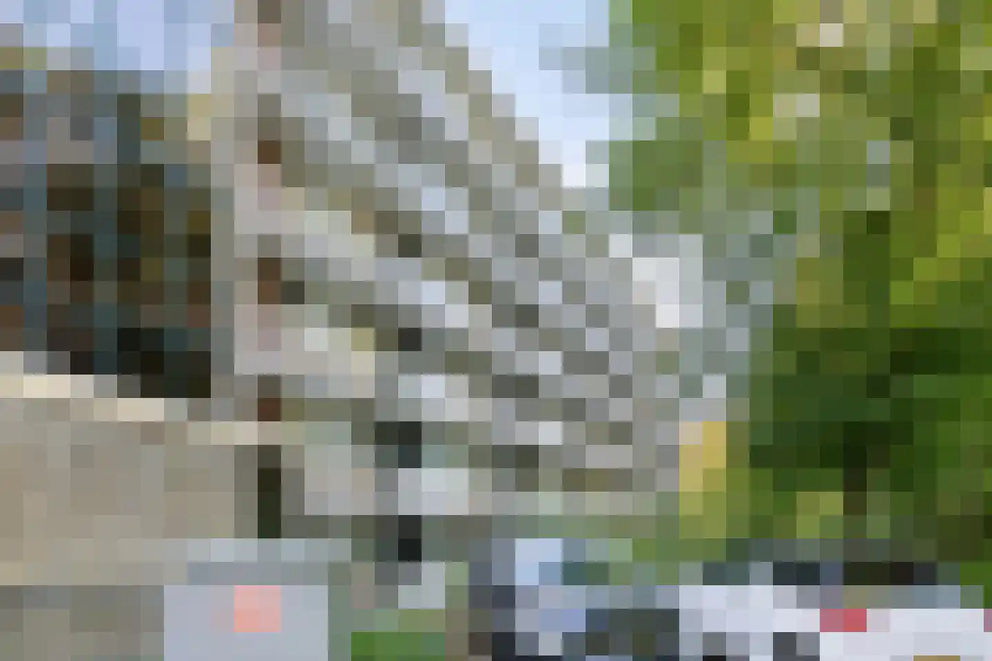 van Wassenaersheuvel 122 Oosterbeek thumbnail 22