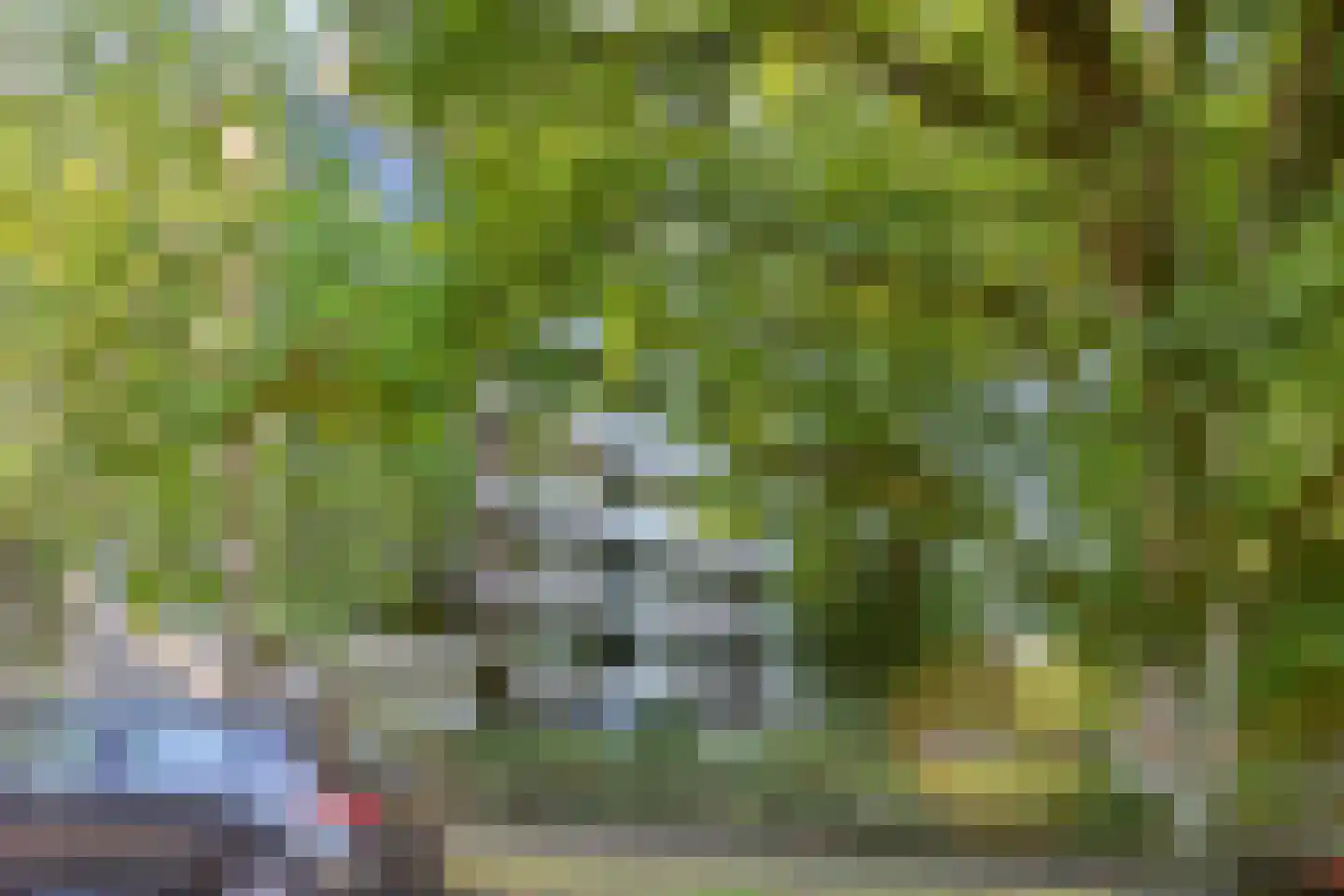 van Wassenaersheuvel 122 Oosterbeek thumbnail 24