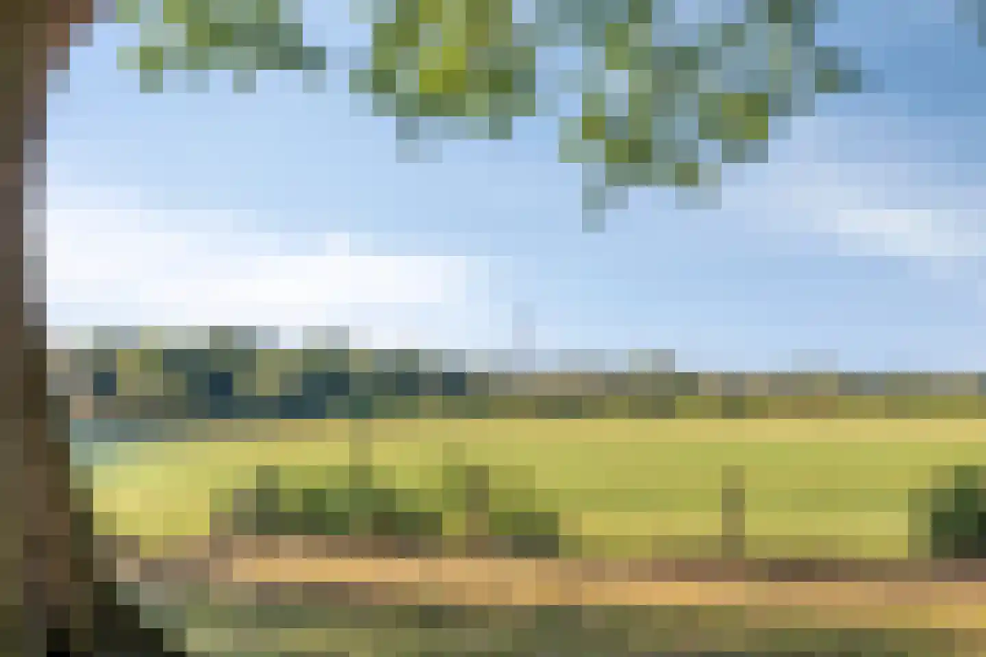 van Wassenaersheuvel 122 Oosterbeek thumbnail 26