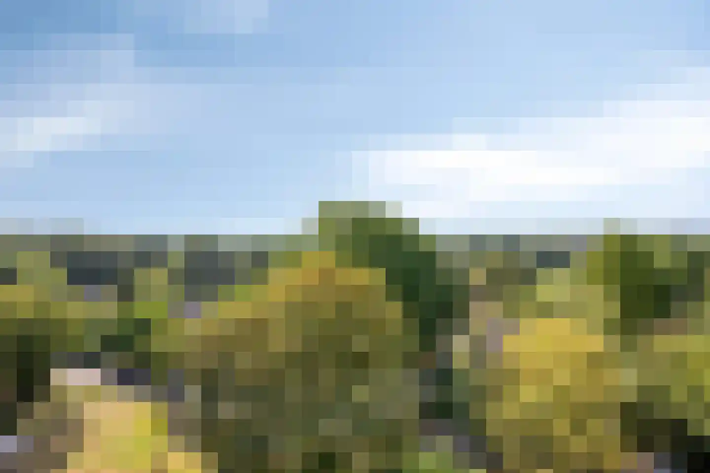 van Wassenaersheuvel 122 Oosterbeek thumbnail 27