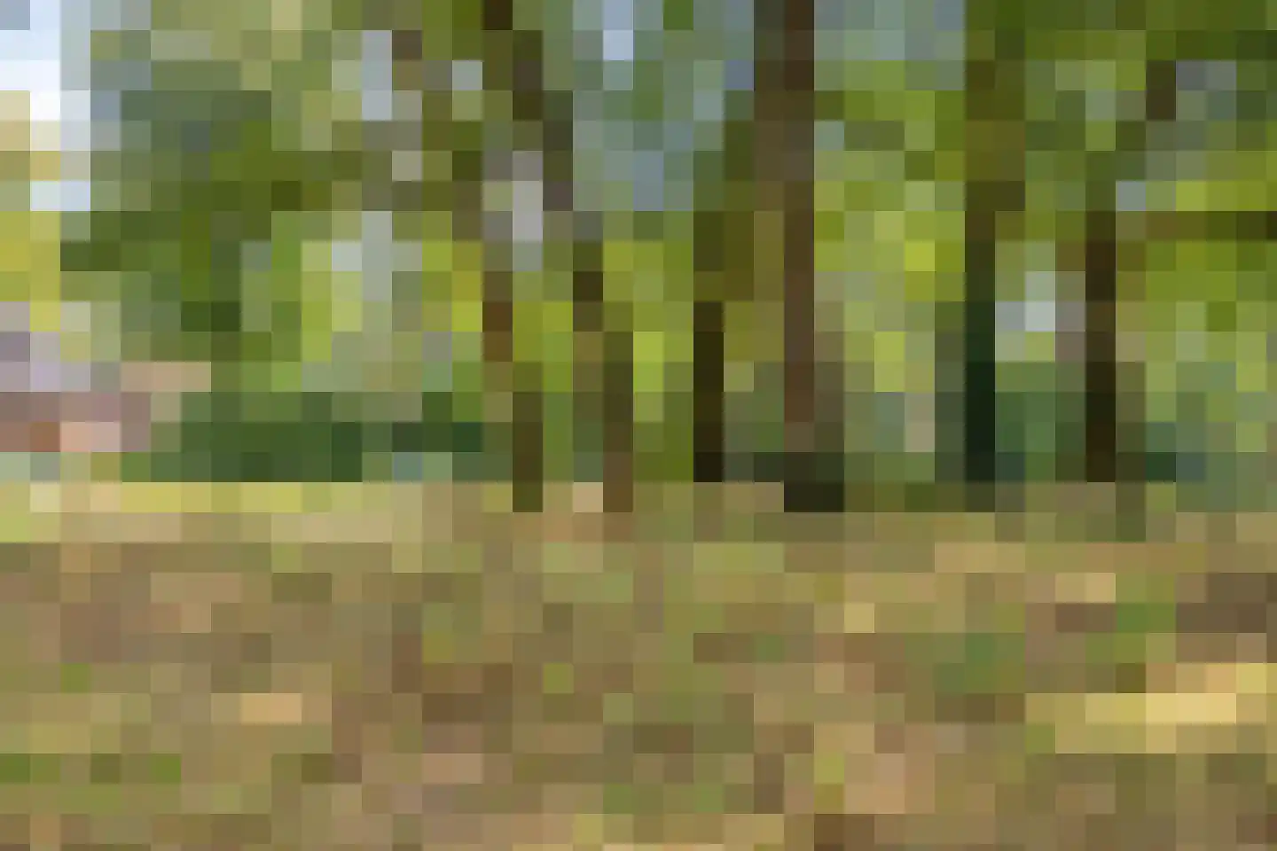van Wassenaersheuvel 122 Oosterbeek thumbnail 28
