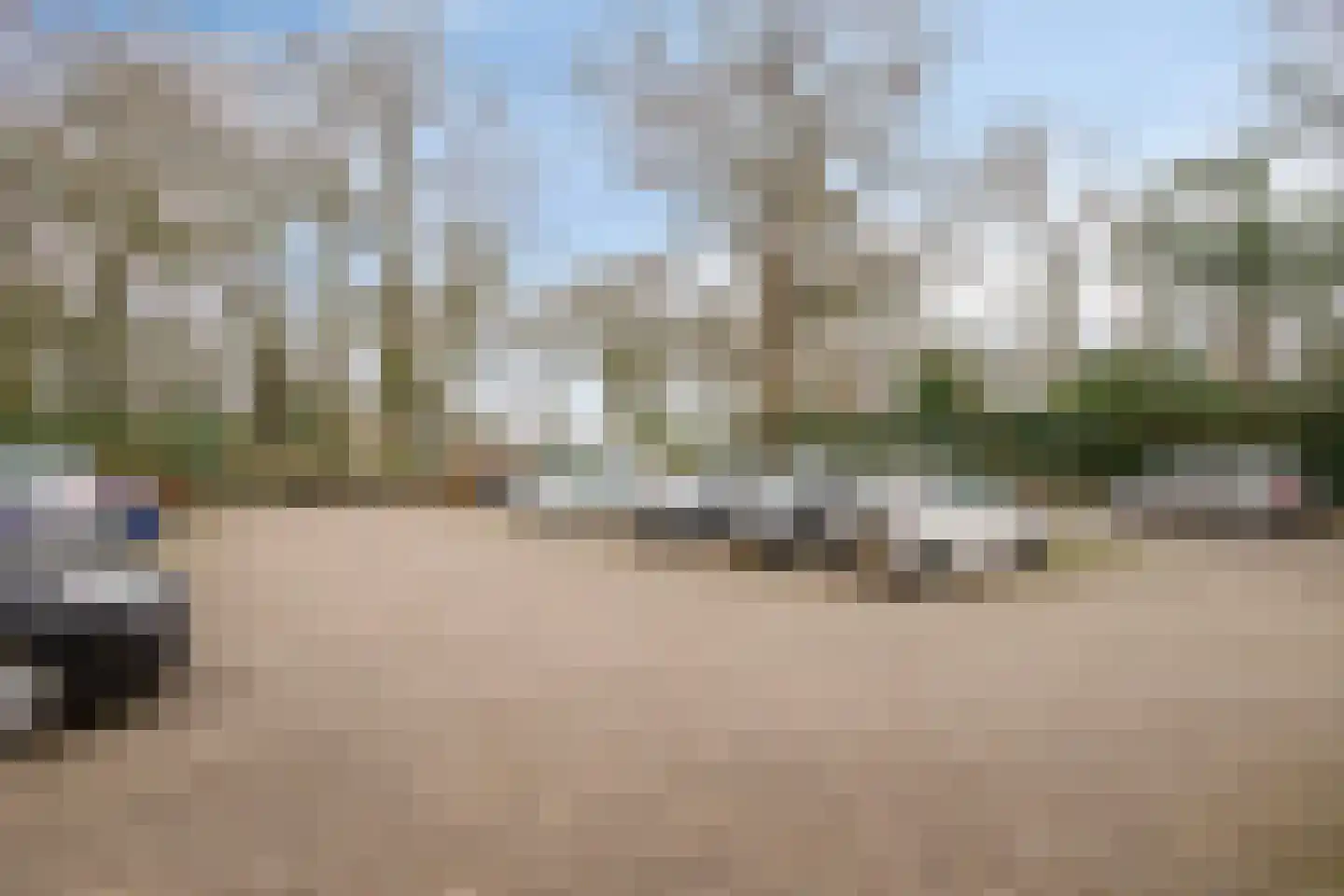 van Wassenaersheuvel 40 Oosterbeek thumbnail 21