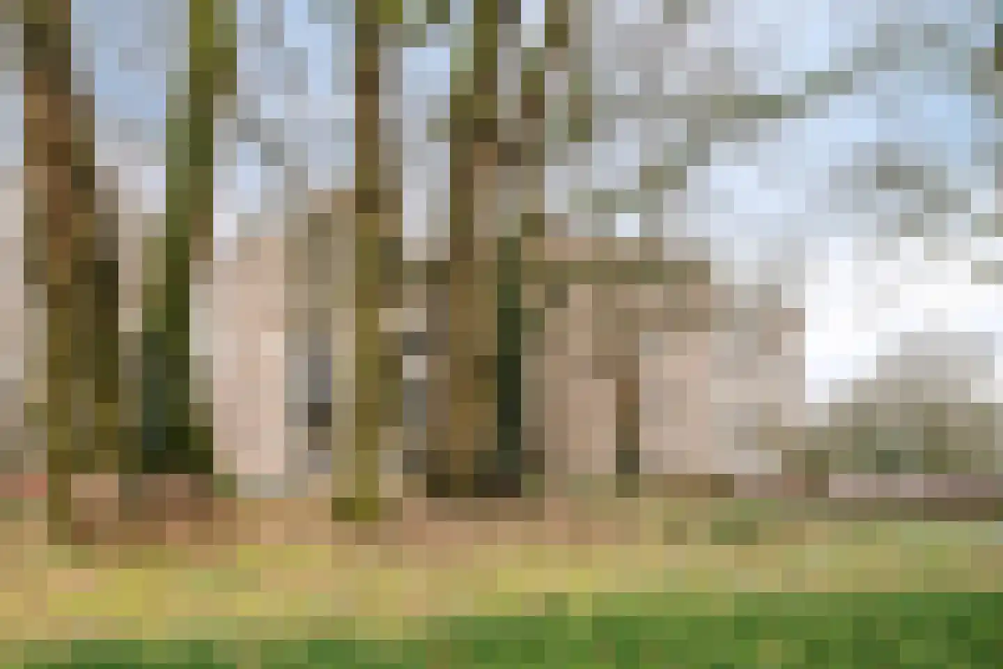 van Wassenaersheuvel 40 Oosterbeek thumbnail 23