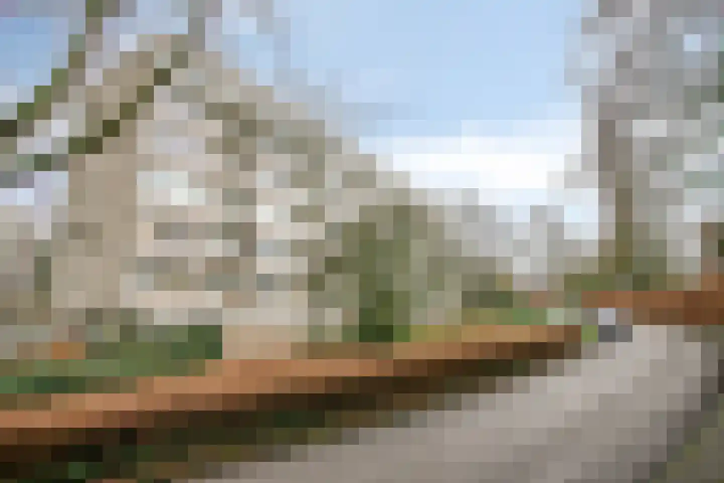 van Wassenaersheuvel 40 Oosterbeek thumbnail 24