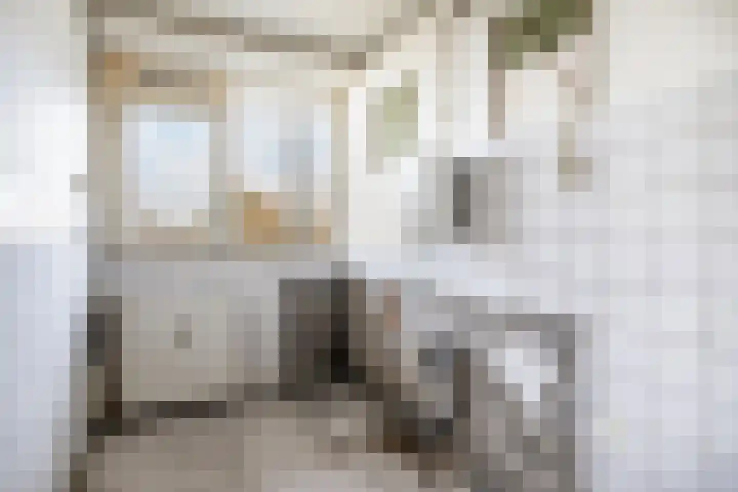 van Wassenaersheuvel 40 Oosterbeek thumbnail 8