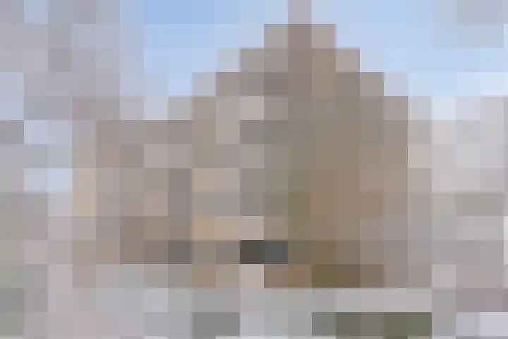 van Wassenaersheuvel 45 Oosterbeek thumbnail 23