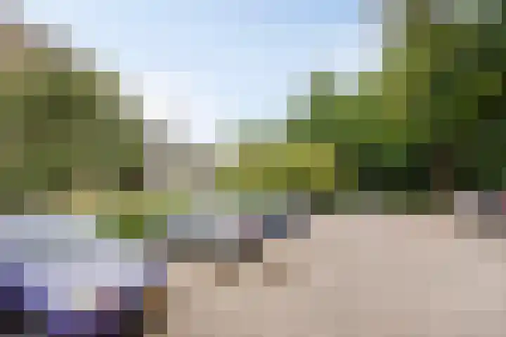van Wassenaersheuvel 48 Oosterbeek thumbnail 17