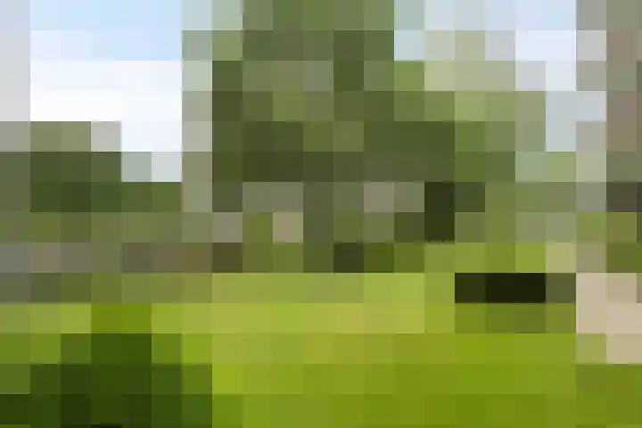 van Wassenaersheuvel 48 Oosterbeek thumbnail 18