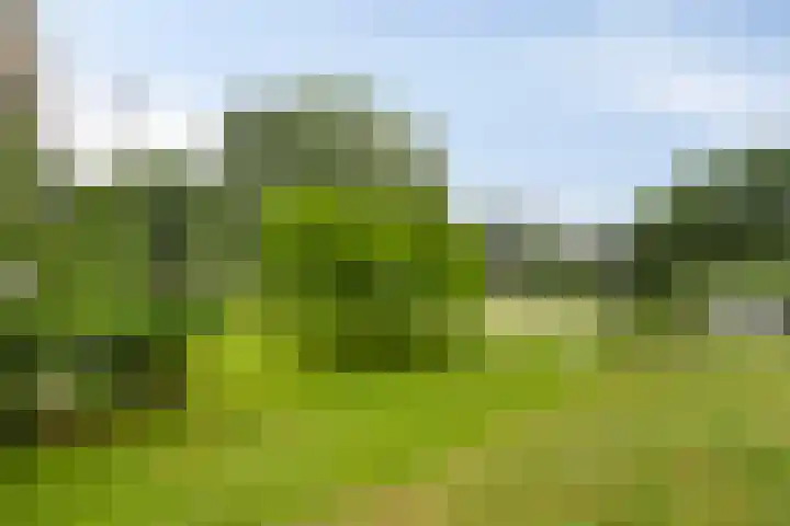 van Wassenaersheuvel 48 Oosterbeek thumbnail 19