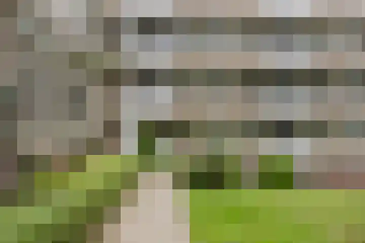 van Wassenaersheuvel 48 Oosterbeek thumbnail 20