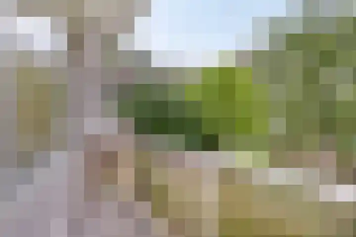 van Wassenaersheuvel 48 Oosterbeek thumbnail 6