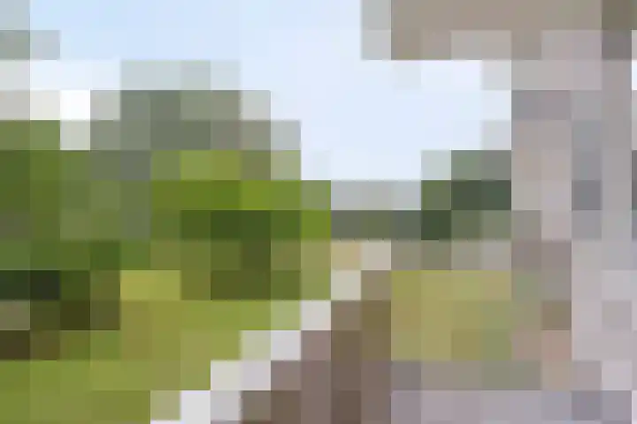 van Wassenaersheuvel 48 Oosterbeek thumbnail 7