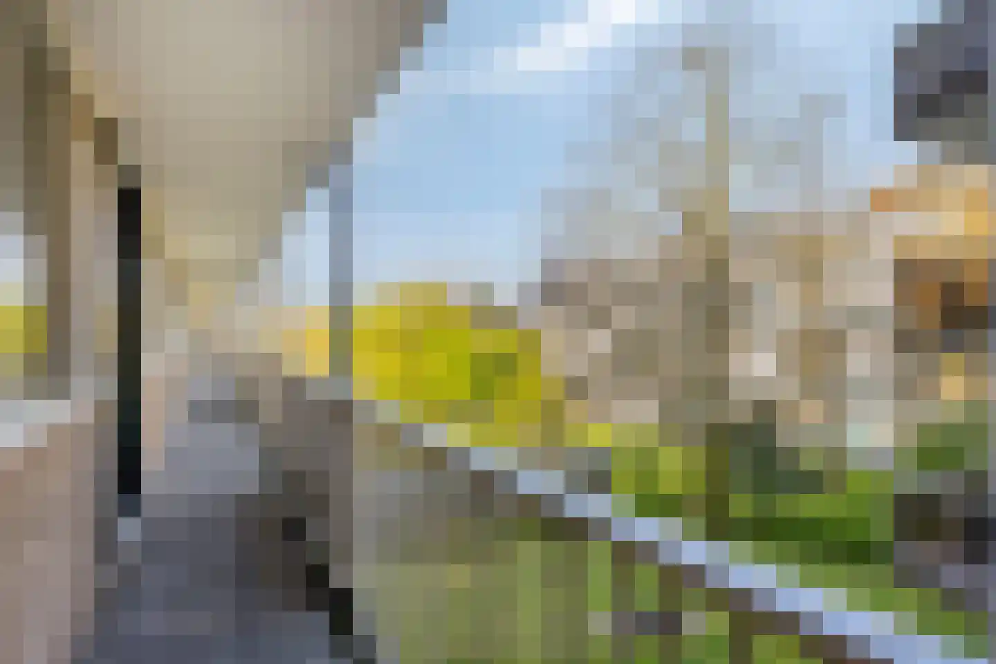van Wassenaersheuvel 64 Oosterbeek thumbnail 17