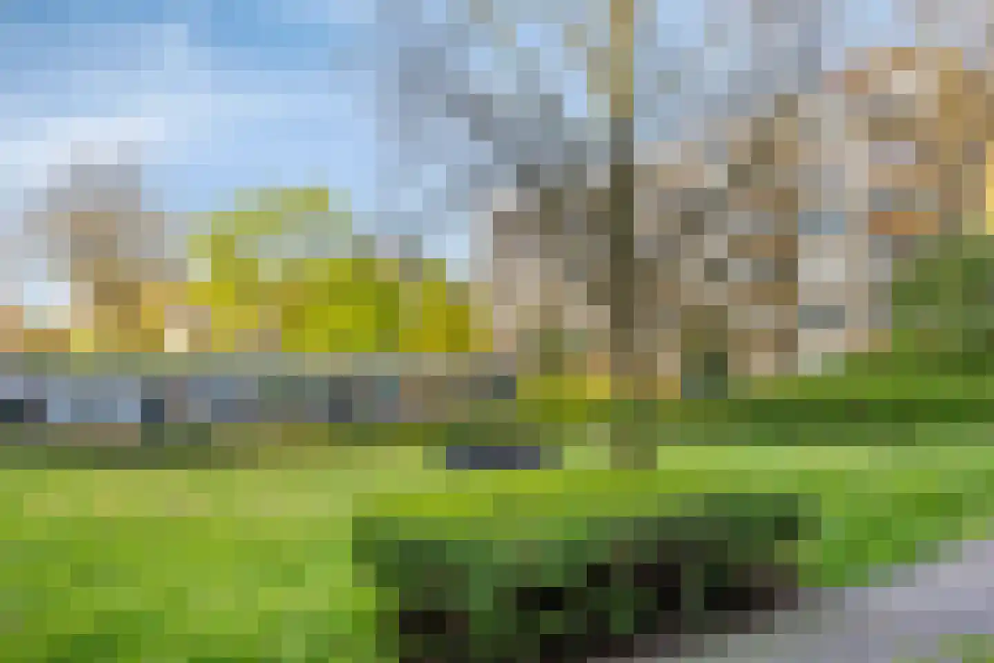 van Wassenaersheuvel 64 Oosterbeek thumbnail 19