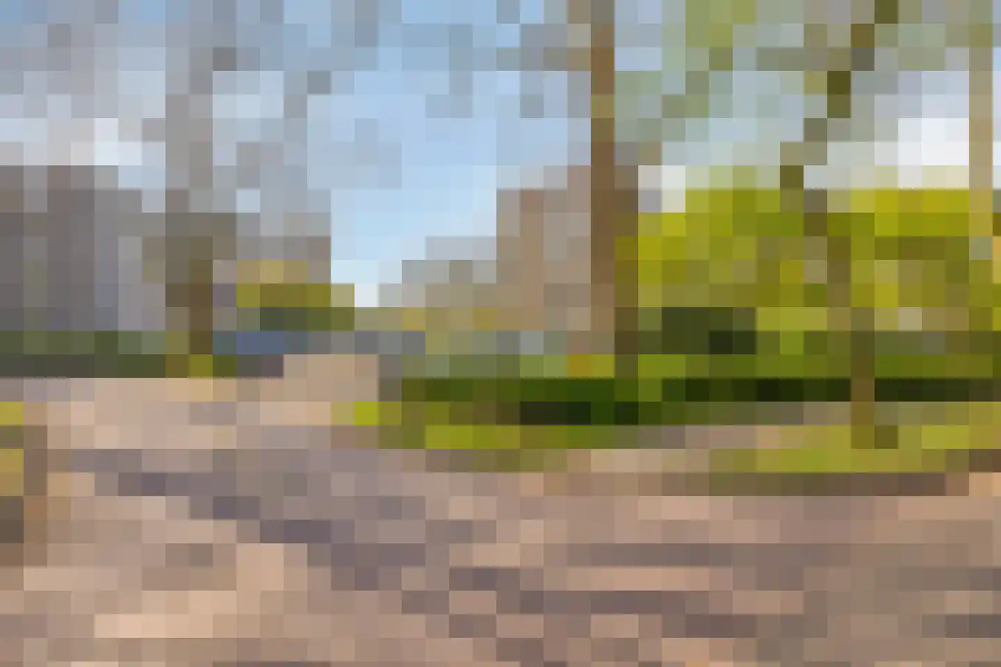 van Wassenaersheuvel 64 Oosterbeek thumbnail 20