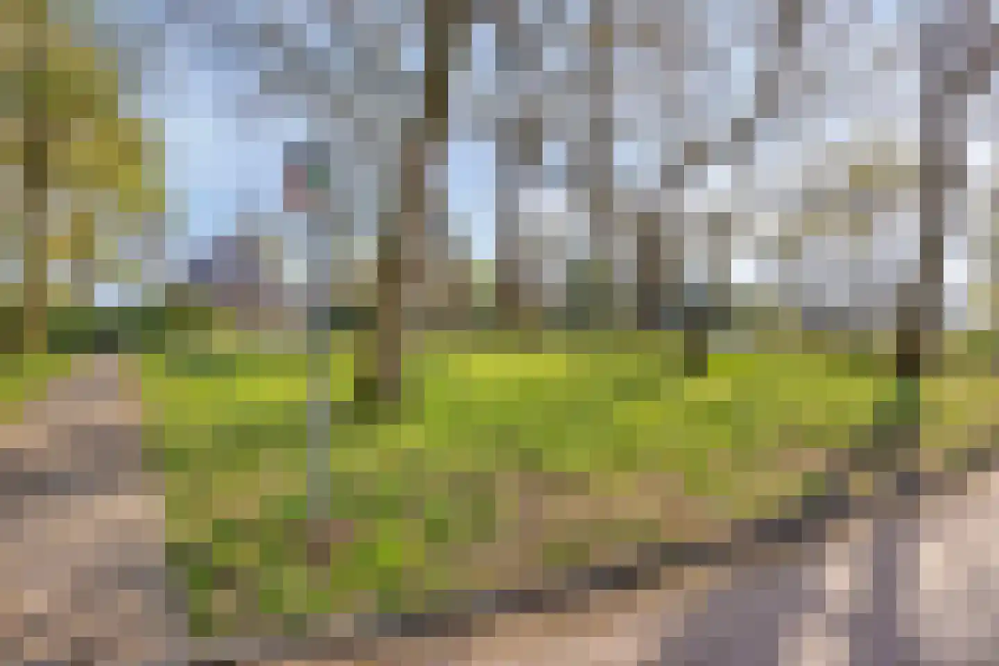 van Wassenaersheuvel 64 Oosterbeek thumbnail 22