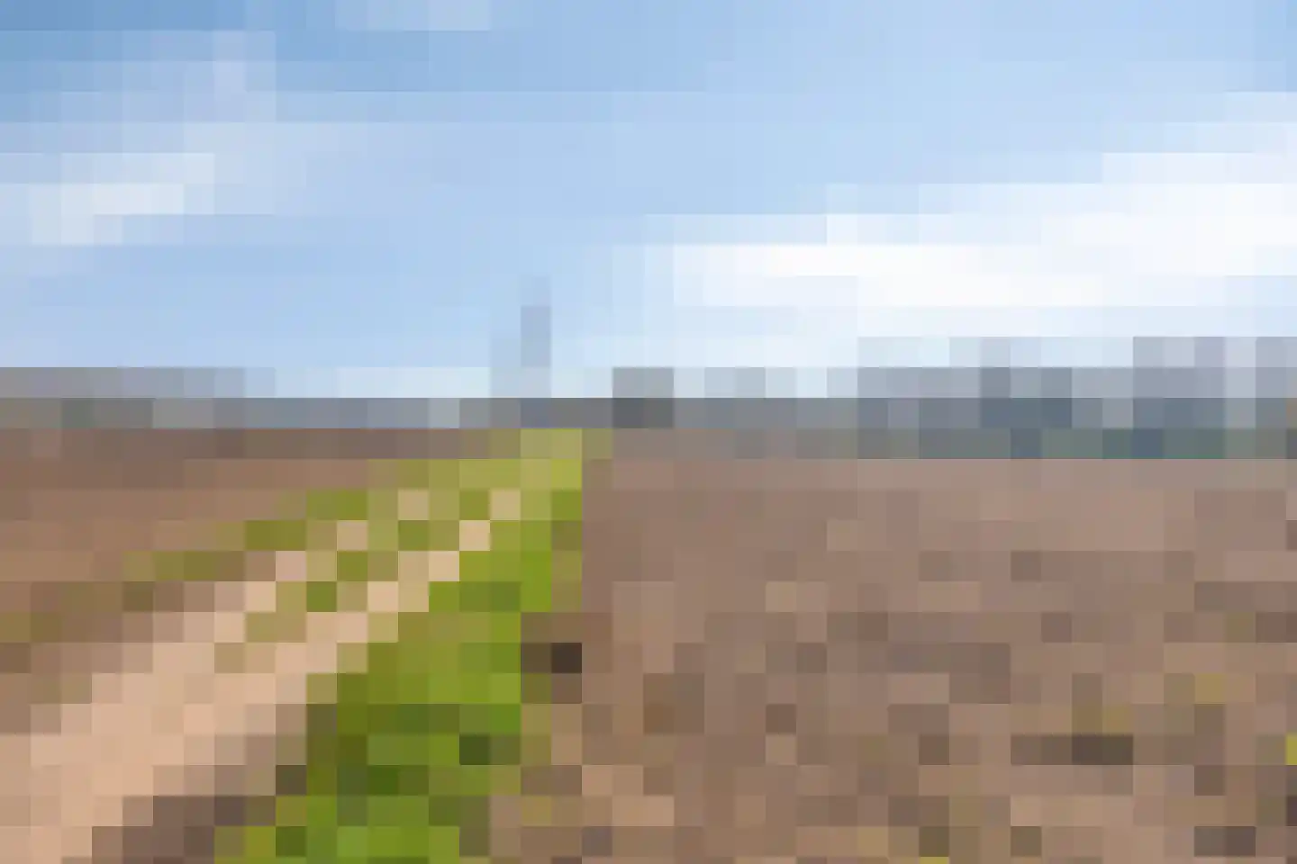 van Wassenaersheuvel 64 Oosterbeek thumbnail 23