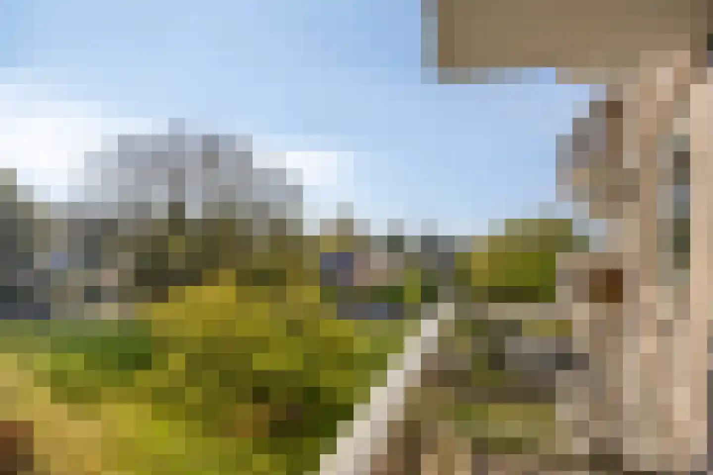 van Wassenaersheuvel 64 Oosterbeek thumbnail 7