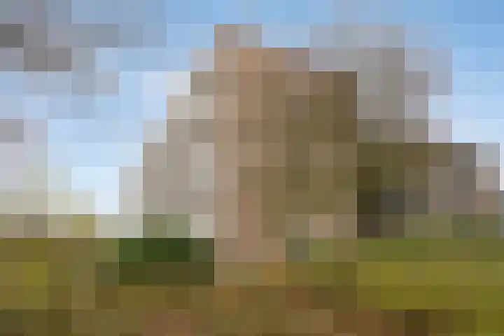 van Wassenaersheuvel 77 Oosterbeek thumbnail 18
