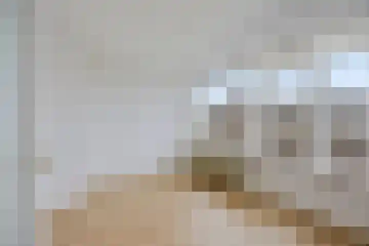 van Wassenaersheuvel 77 Oosterbeek thumbnail 5