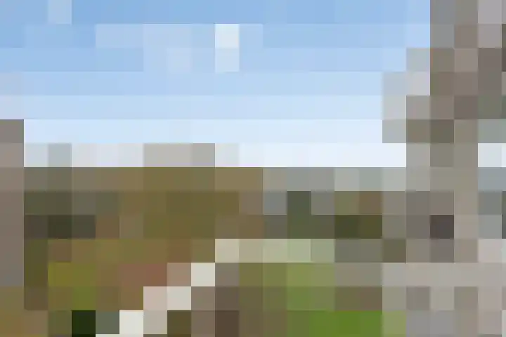 van Wassenaersheuvel 77 Oosterbeek thumbnail 6