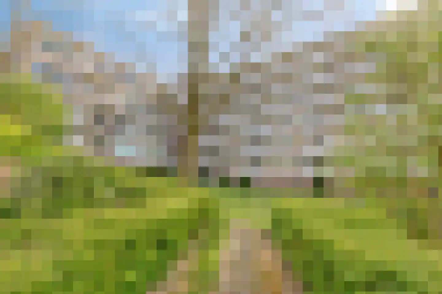 van Wassenaersheuvel 84 Oosterbeek thumbnail 21