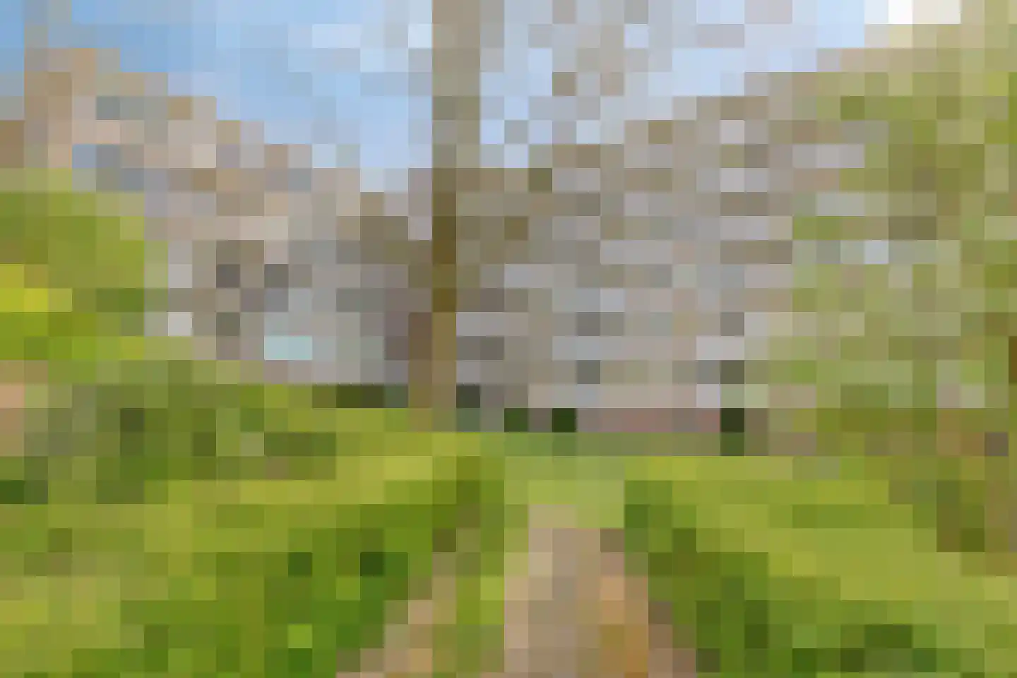 van Wassenaersheuvel 84 Oosterbeek thumbnail 22